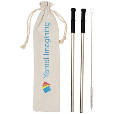 Image of Lena reusable stainless straw set